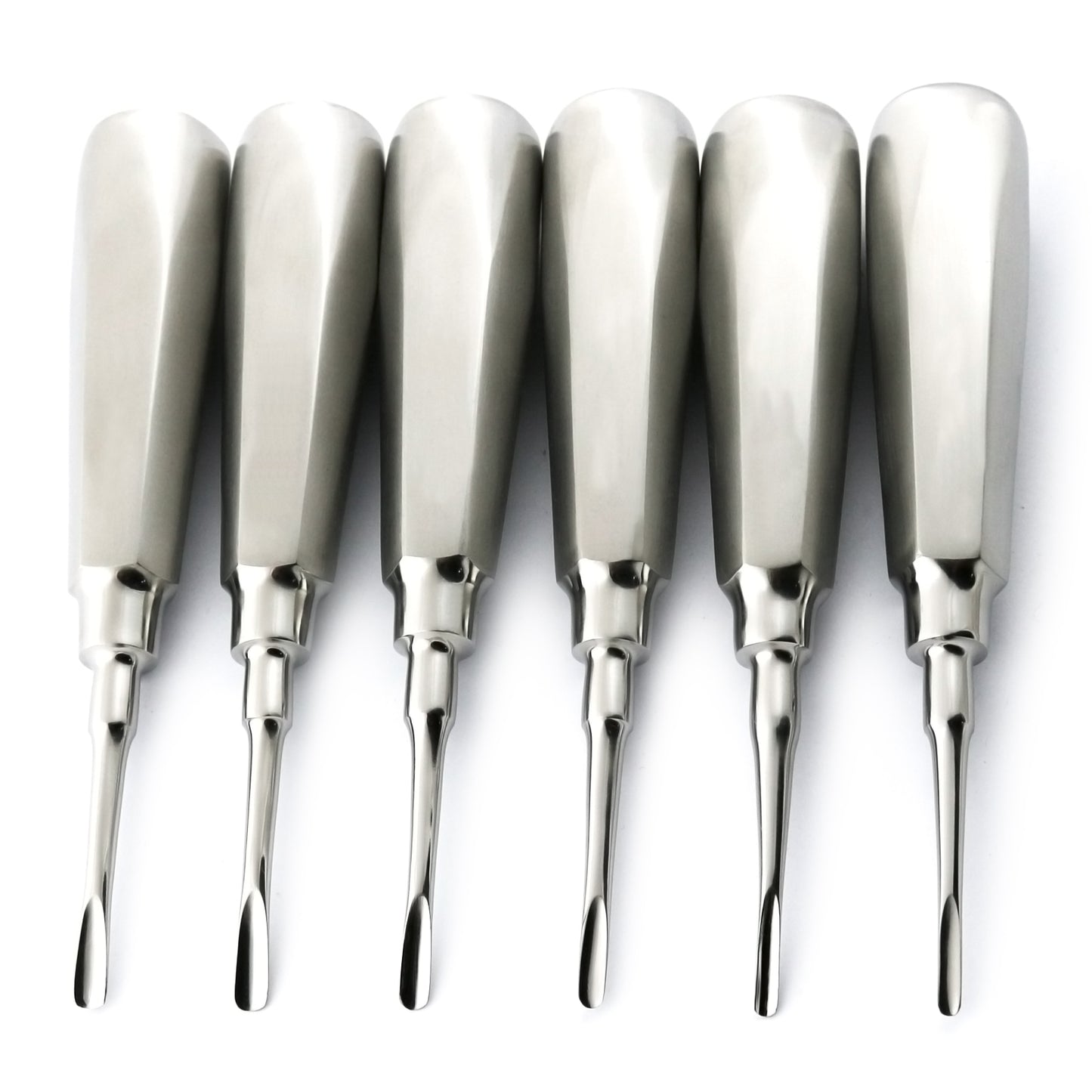 dental Luxation Elevators Tooth Extraction set of 6