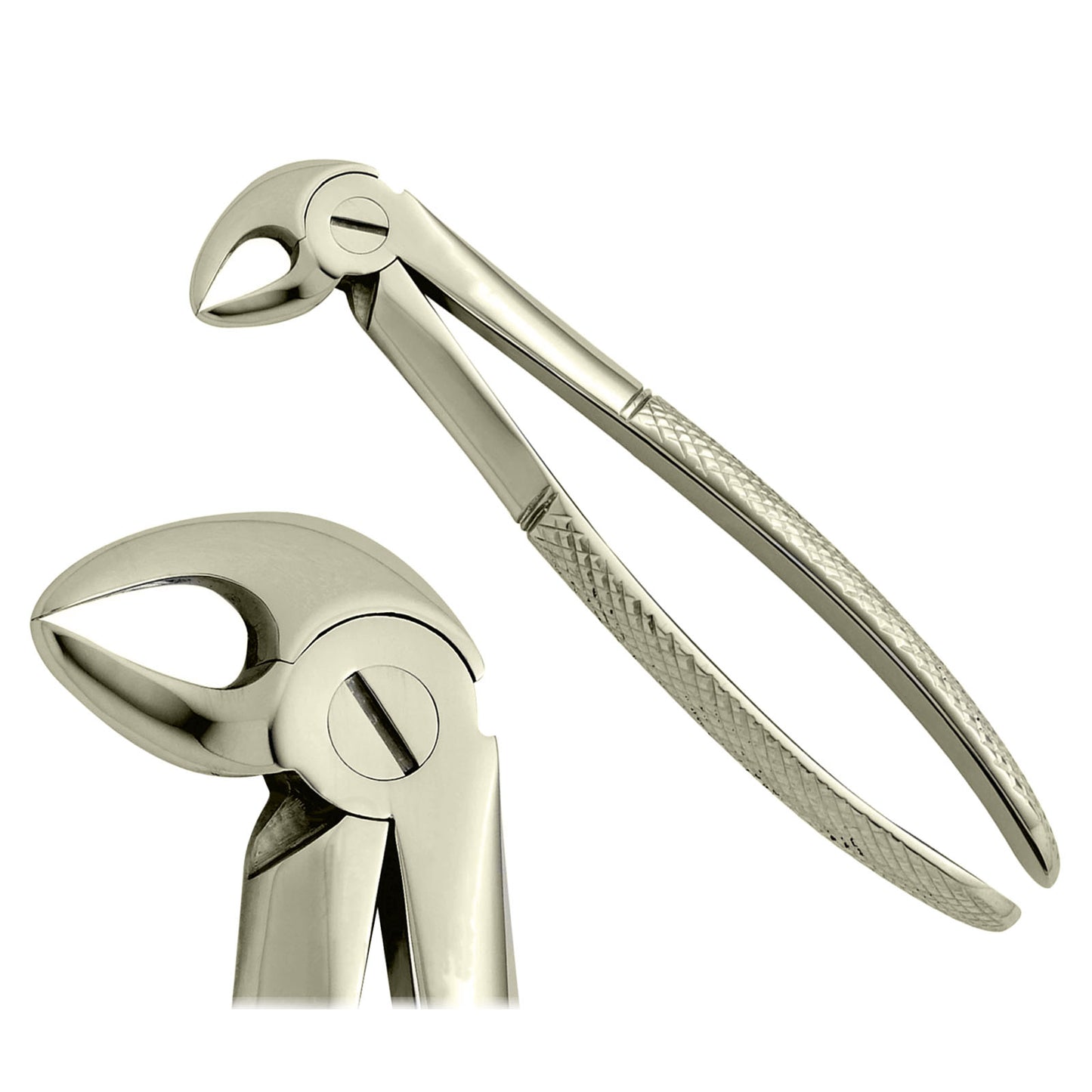 dental Tooth Extraction zange Fig 33