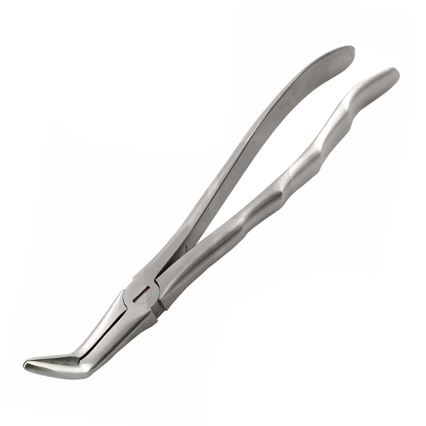 dental Tooth Extraction zange Long Beak